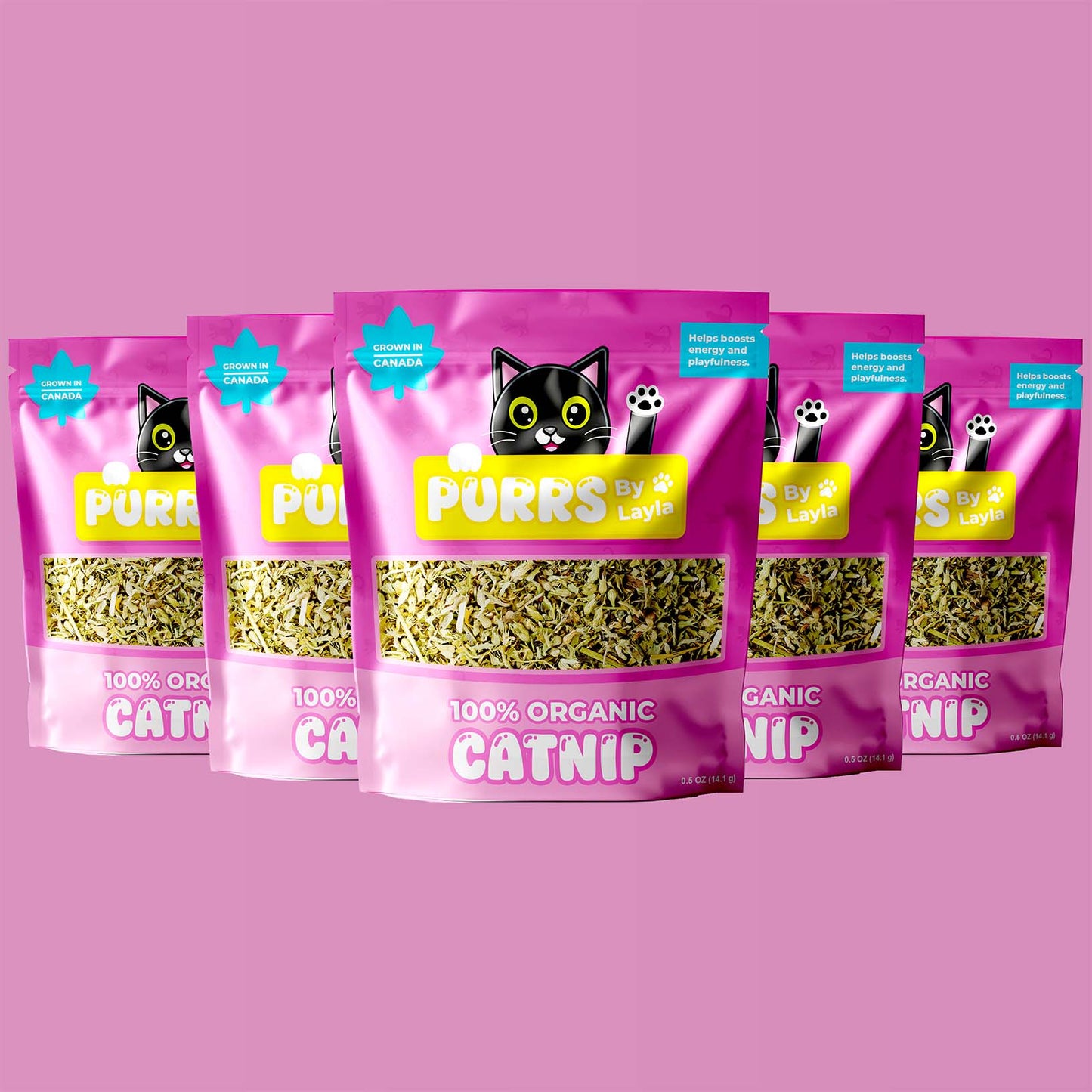Catnip by Layla